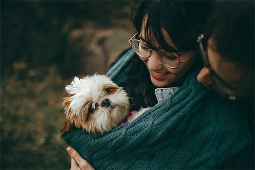 子犬の嘔吐と下痢、原因と病院に行くべきサインを獣医が解説